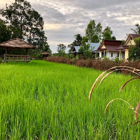 Baan Thung Home Stay Prasat Buitenkant foto
