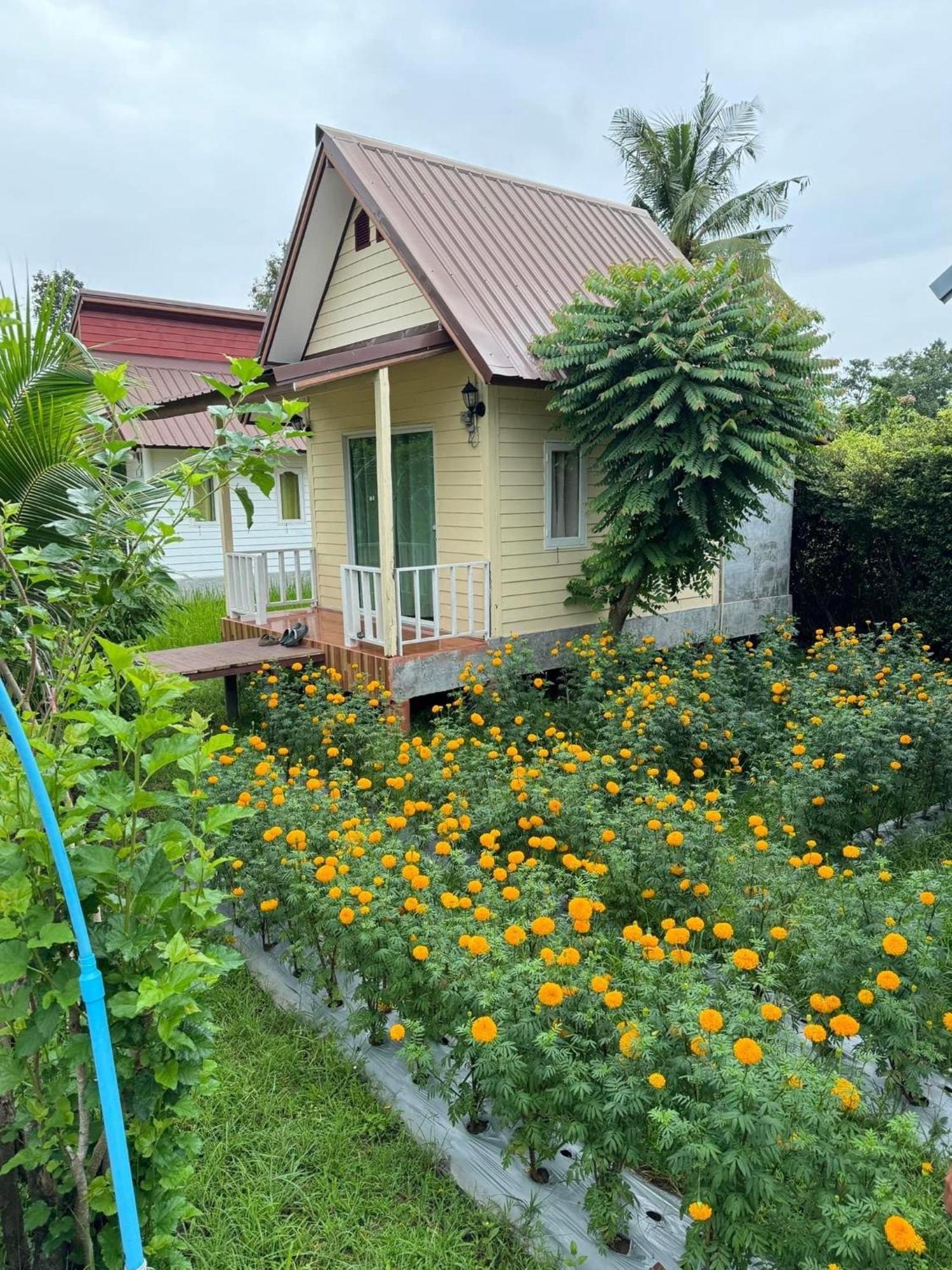 Baan Thung Home Stay Prasat Buitenkant foto