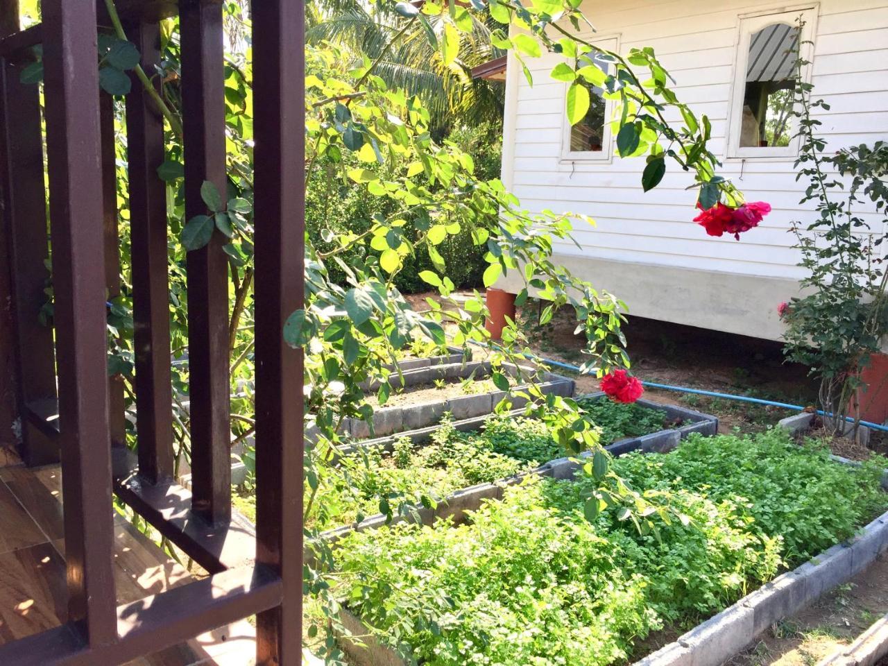 Baan Thung Home Stay Prasat Buitenkant foto