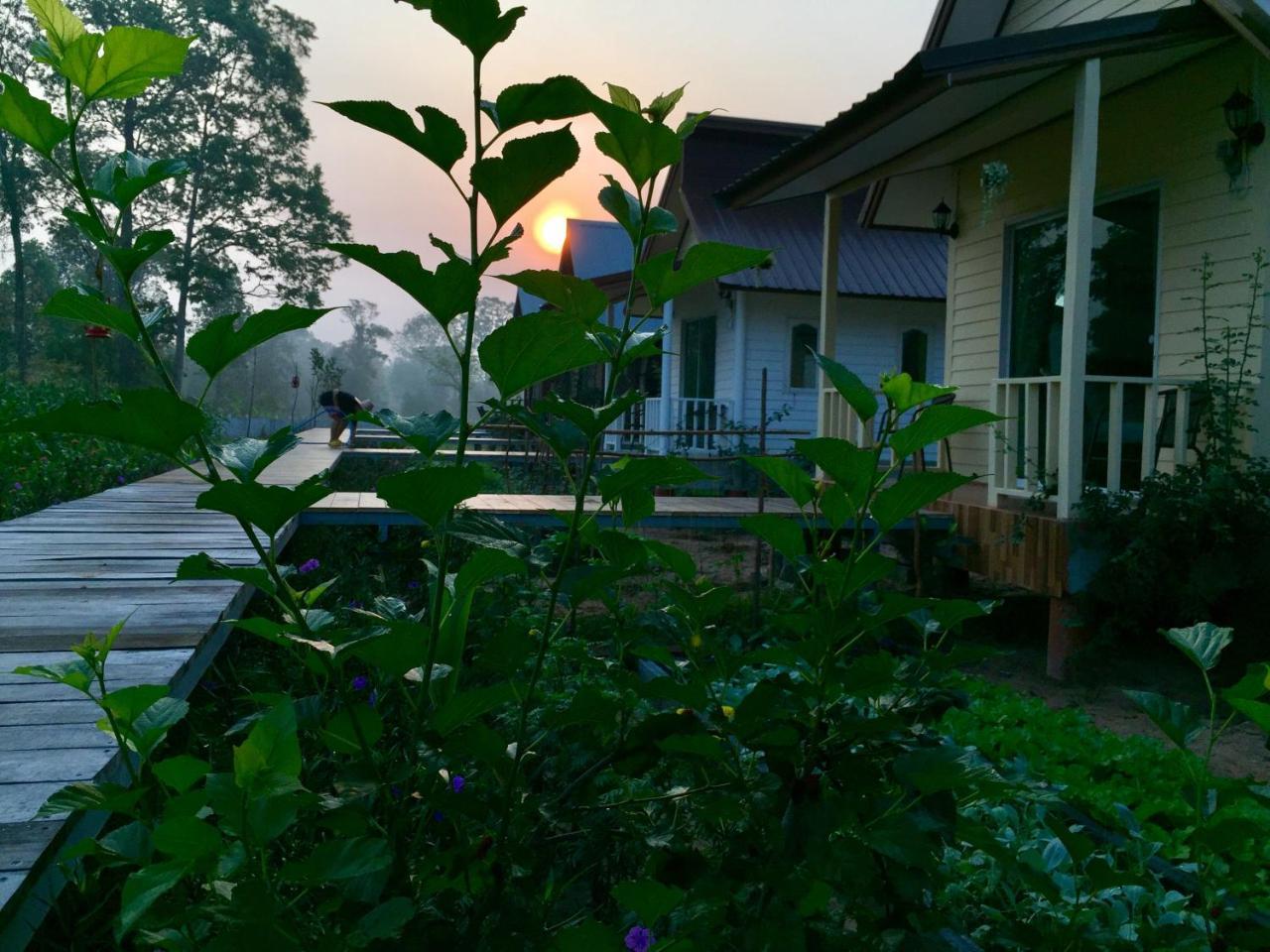 Baan Thung Home Stay Prasat Buitenkant foto