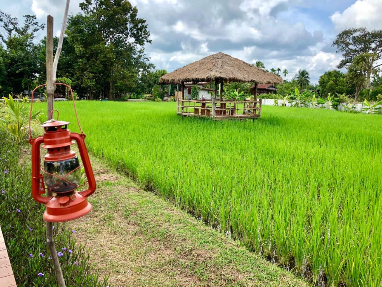 Baan Thung Home Stay Prasat Buitenkant foto