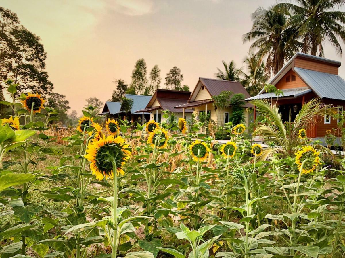 Baan Thung Home Stay Prasat Buitenkant foto