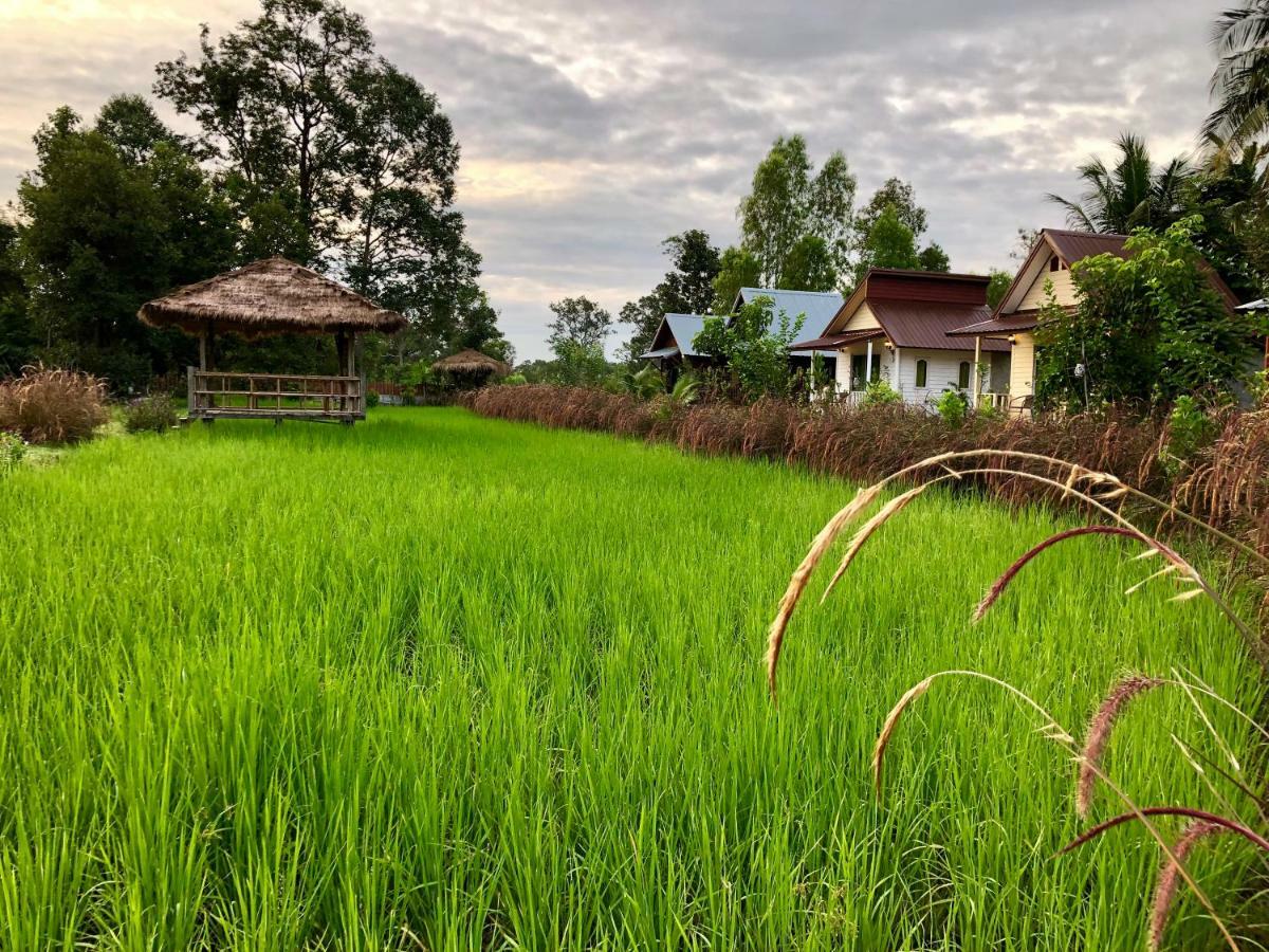 Baan Thung Home Stay Prasat Buitenkant foto