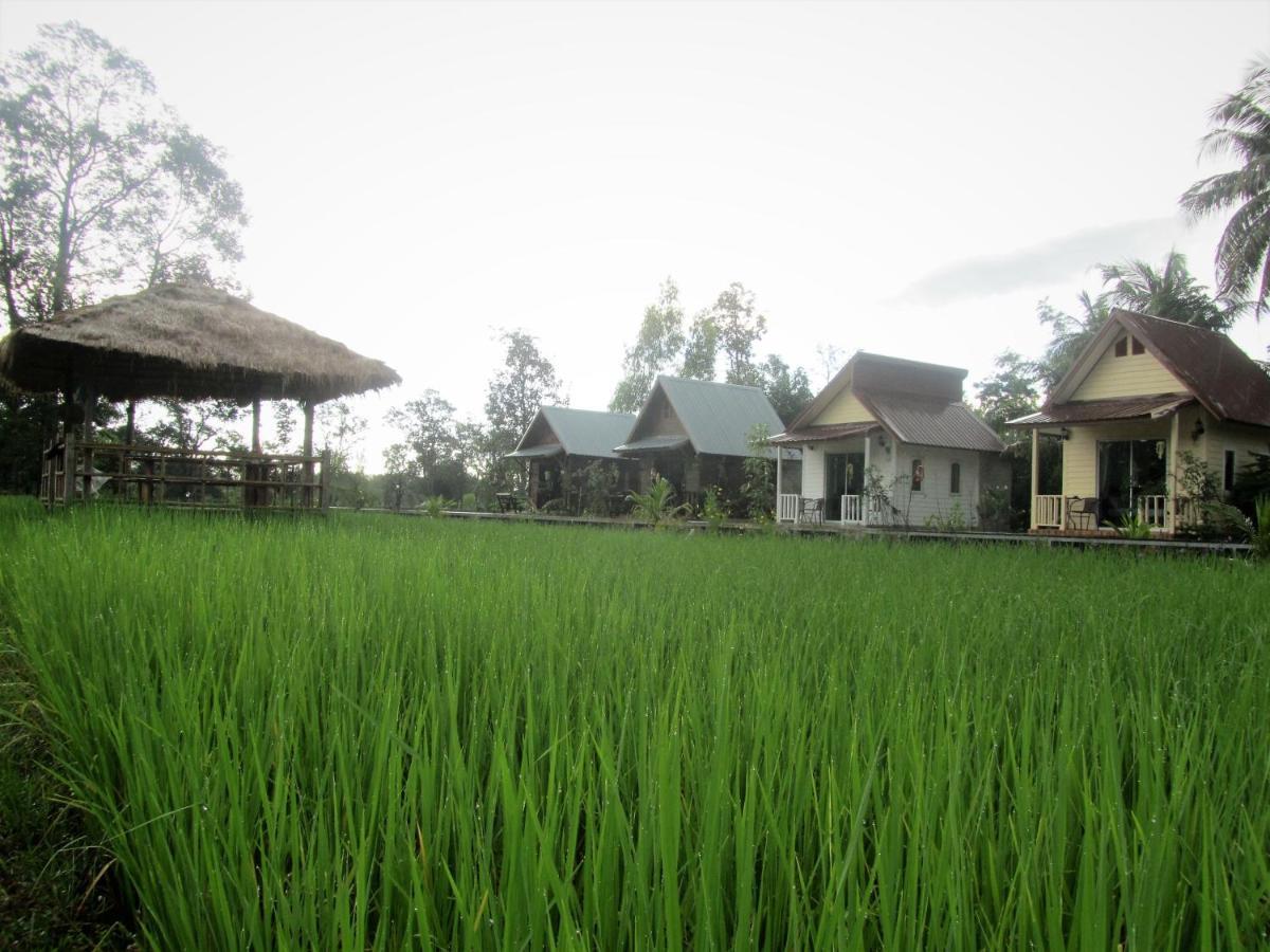 Baan Thung Home Stay Prasat Buitenkant foto