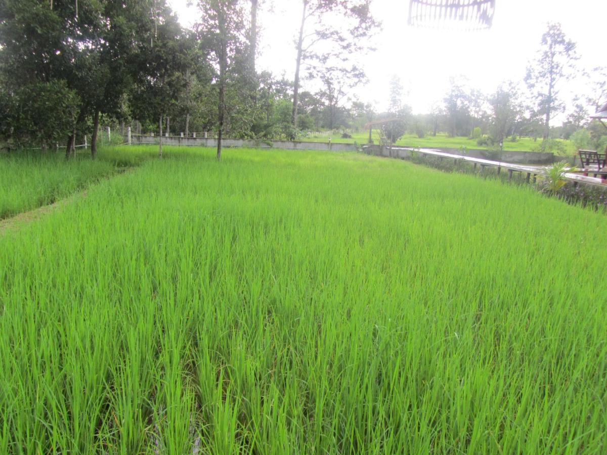 Baan Thung Home Stay Prasat Buitenkant foto